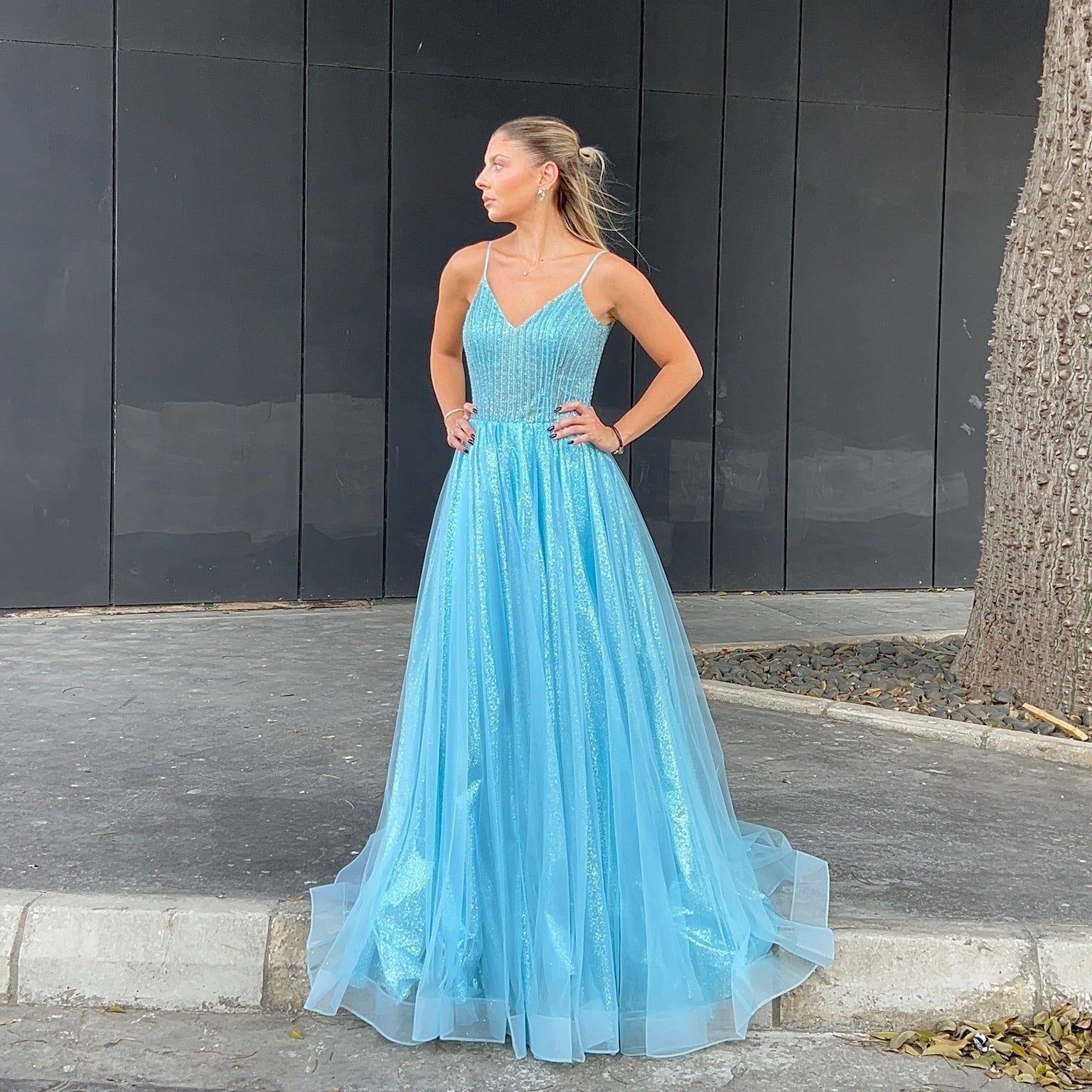 Shiny princess cut dress