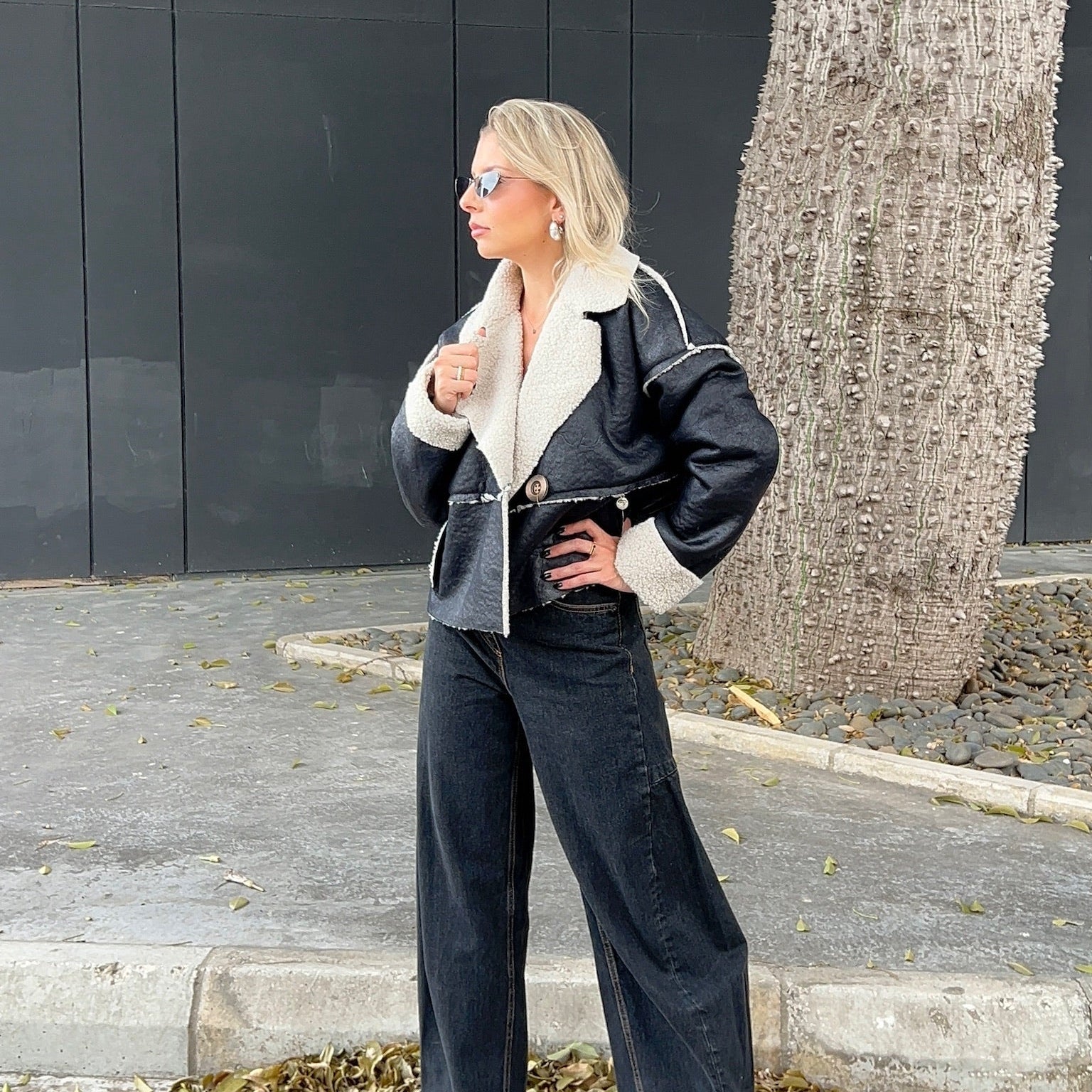 Leather & Shearling Aviator Jacket