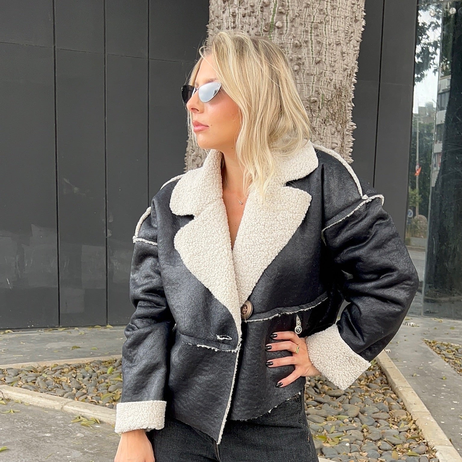 Leather & Shearling Aviator Jacket