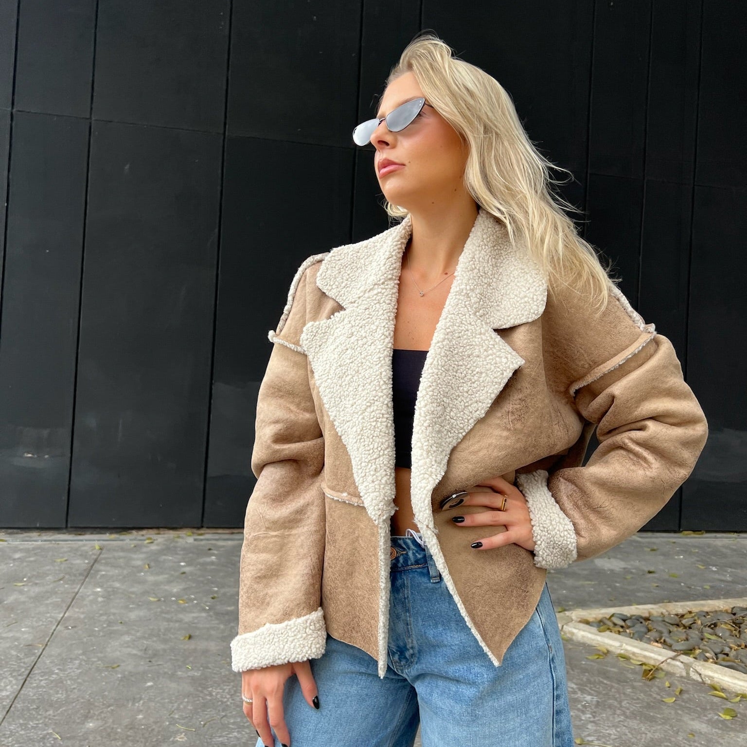 Leather & Shearling Aviator Jacket